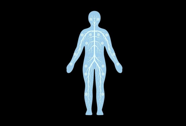 BodySync1-e1786108204561.jpeg